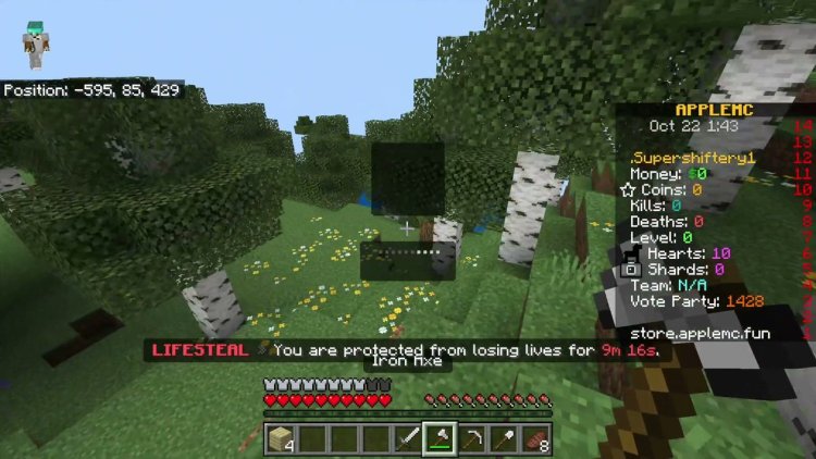 Gameplay on AppleMC
