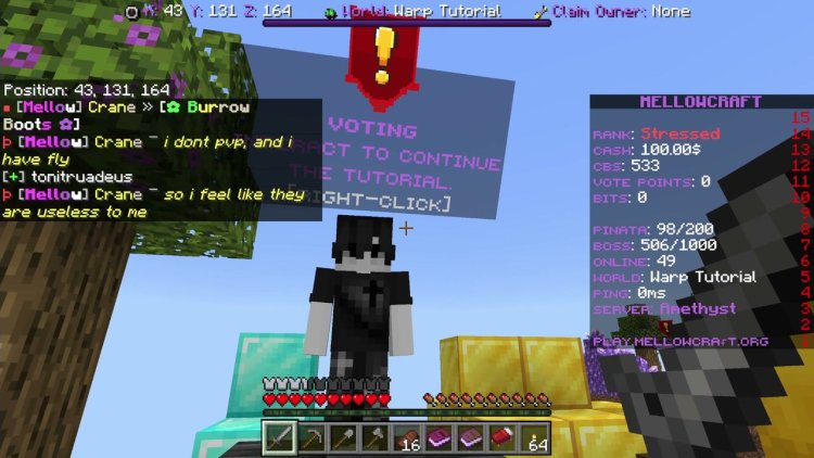 Gameplay on MellowCraft