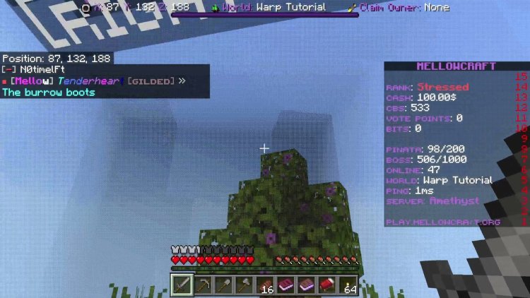 MellowCraft server