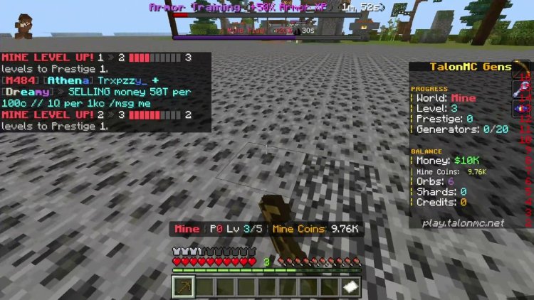 TalonMC server