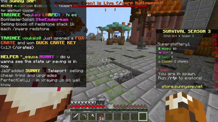 Gameplay on SunnySMP